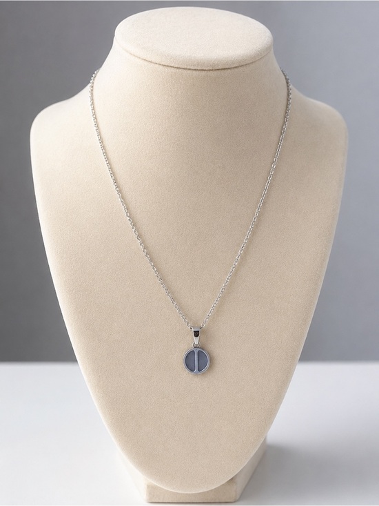 Unbranded Jewelry - Minimal Round Pendant Necklace Gold Silver Disc Stainless Steel Unisex